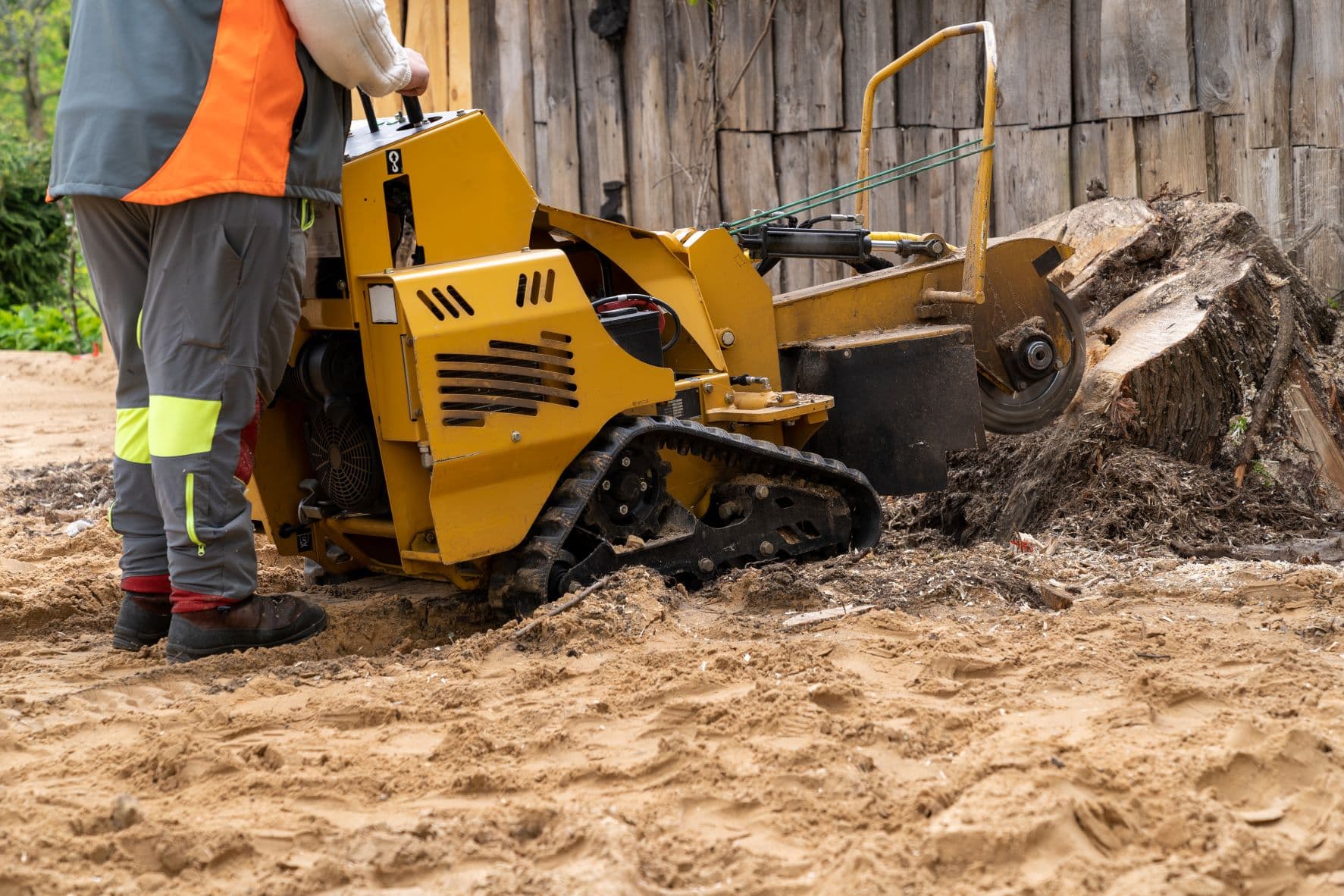 Professional stump grinding service