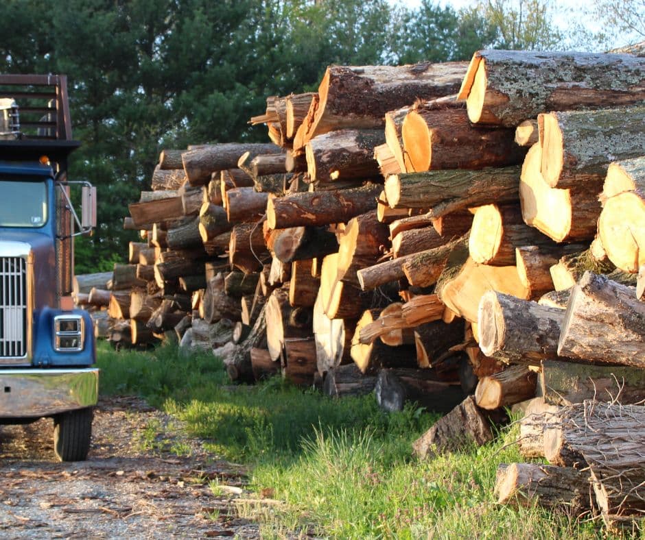 Lewis Burns Tree Service contact