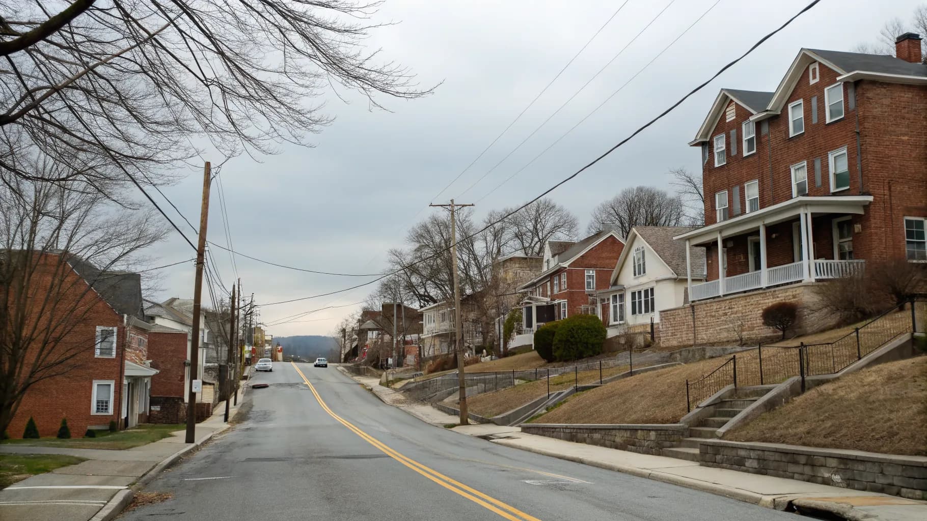 Tree services in Dallastown, PA - Lewis Burns Tree Service
