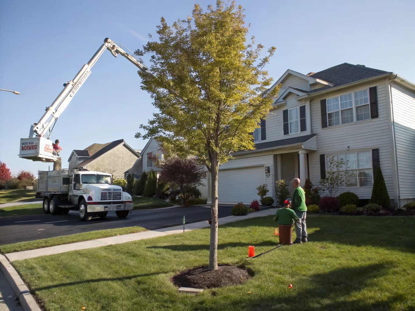 Tree Work Built for Dover and Dover Township