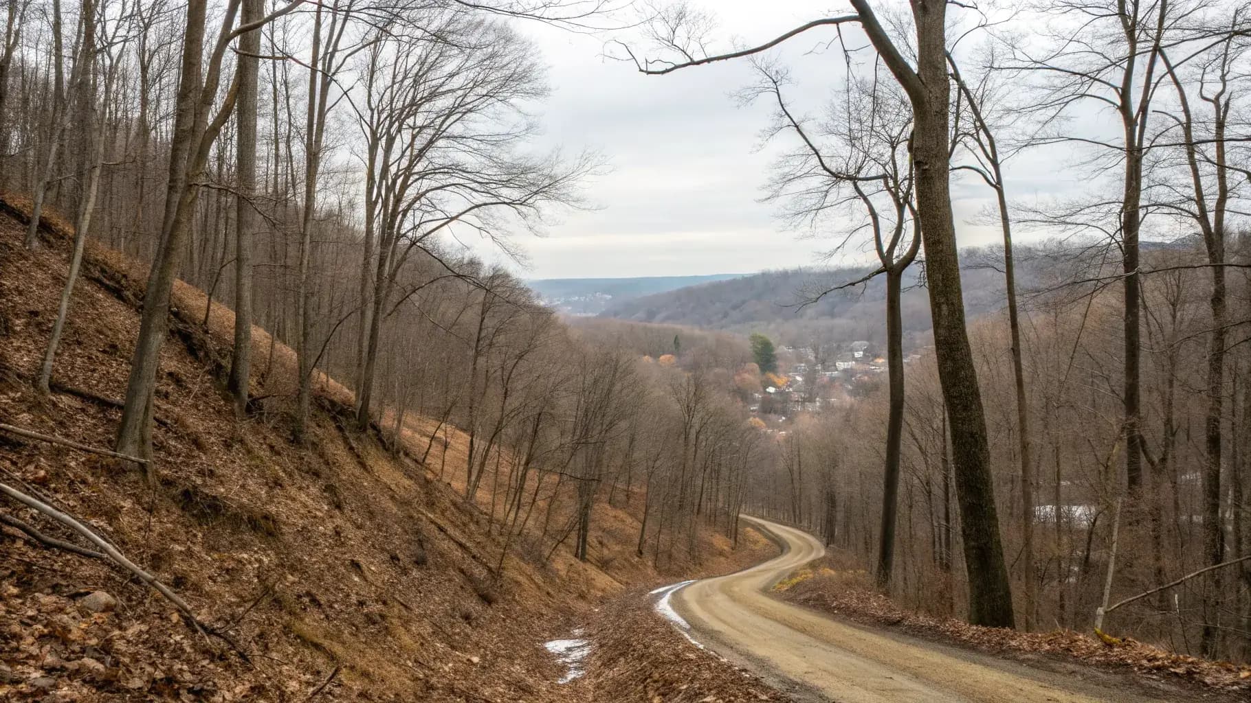 Tree services in Felton, PA - Lewis Burns Tree Service