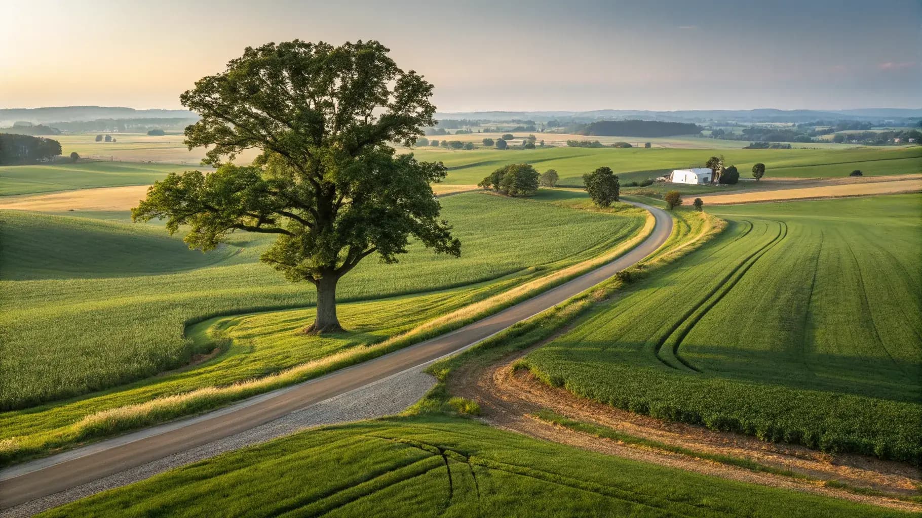 Tree services in Lancaster, PA - Lewis Burns Tree Service