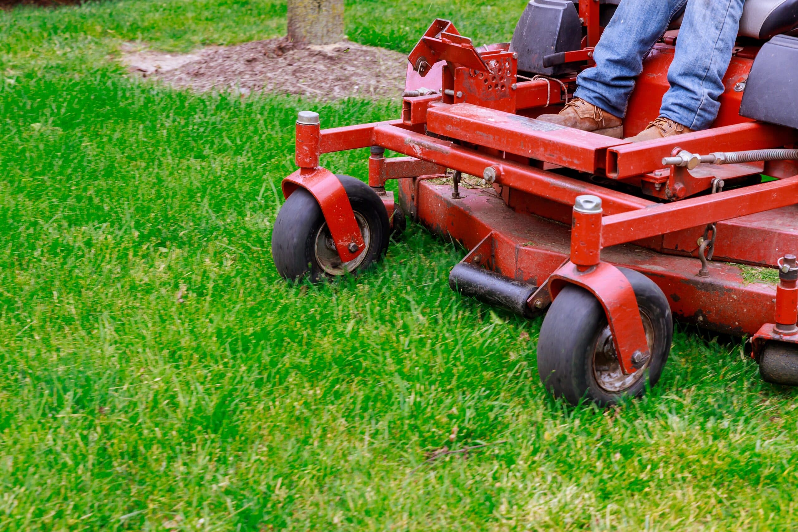 Tree and lawn care package plan
