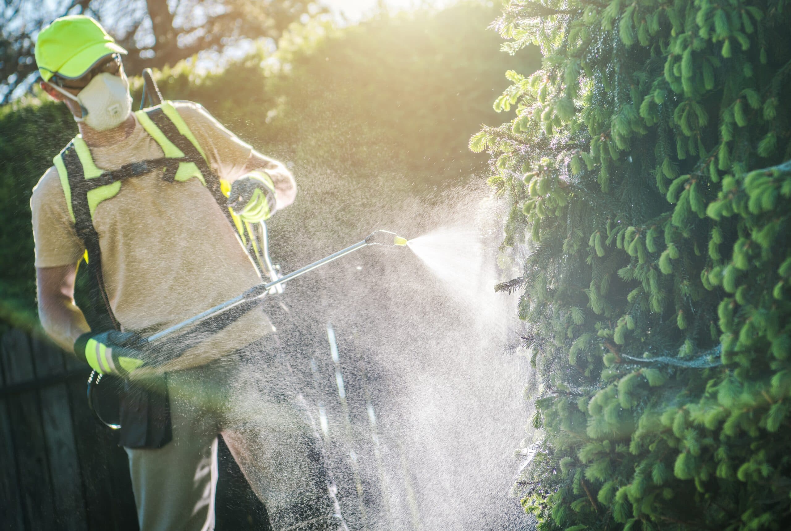 Signs Your Trees Need Help
