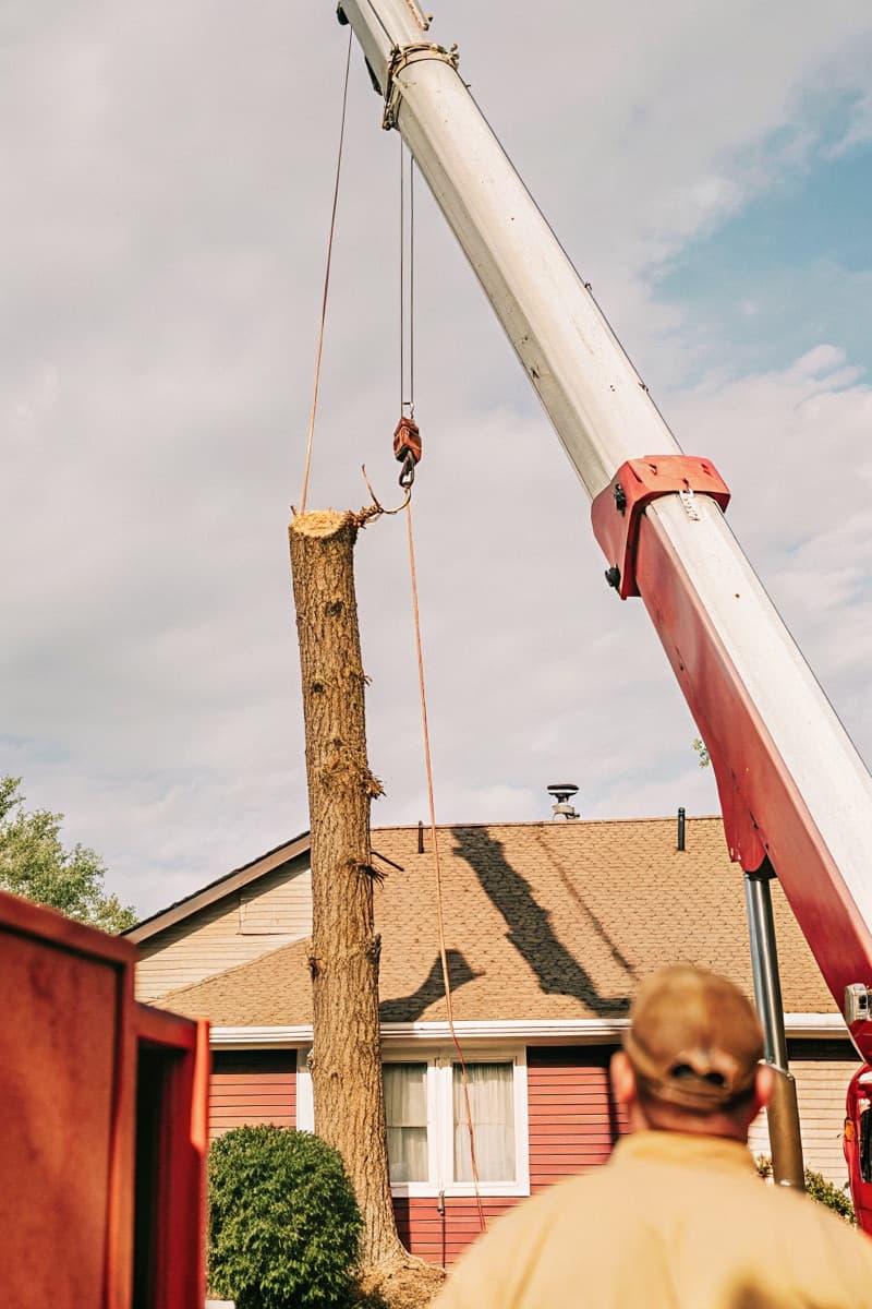 Hard-to-Reach Trees