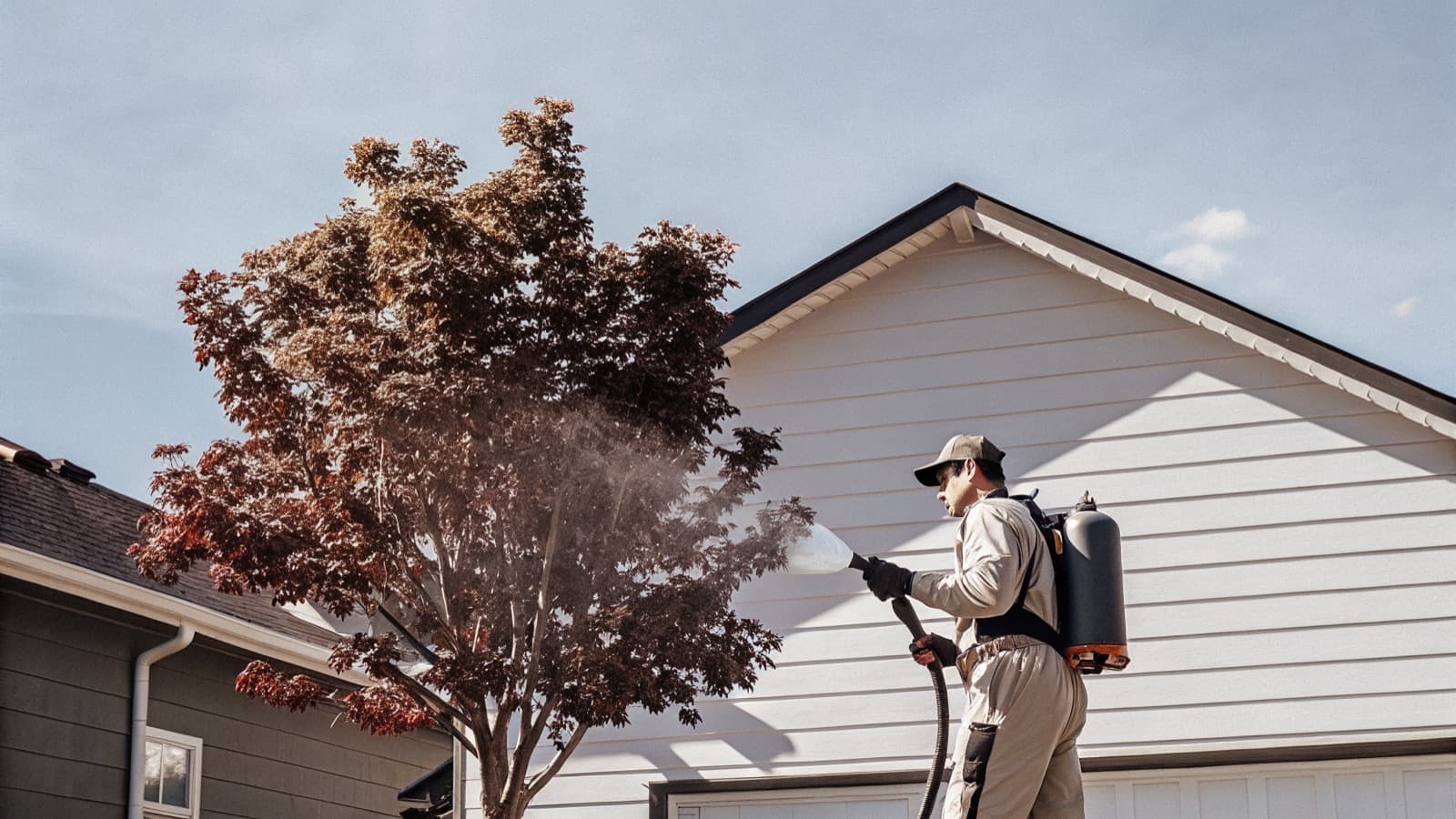 Tree Spraying & Disease Control