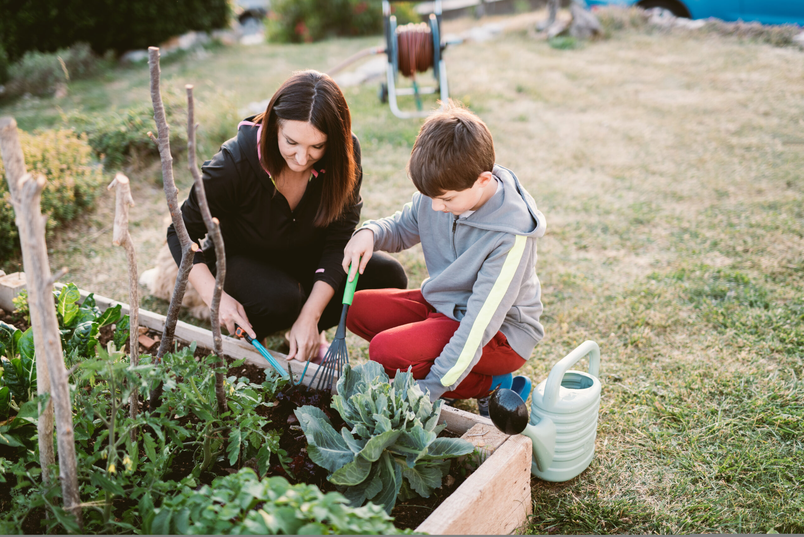Mother and son working in a vegetable garden