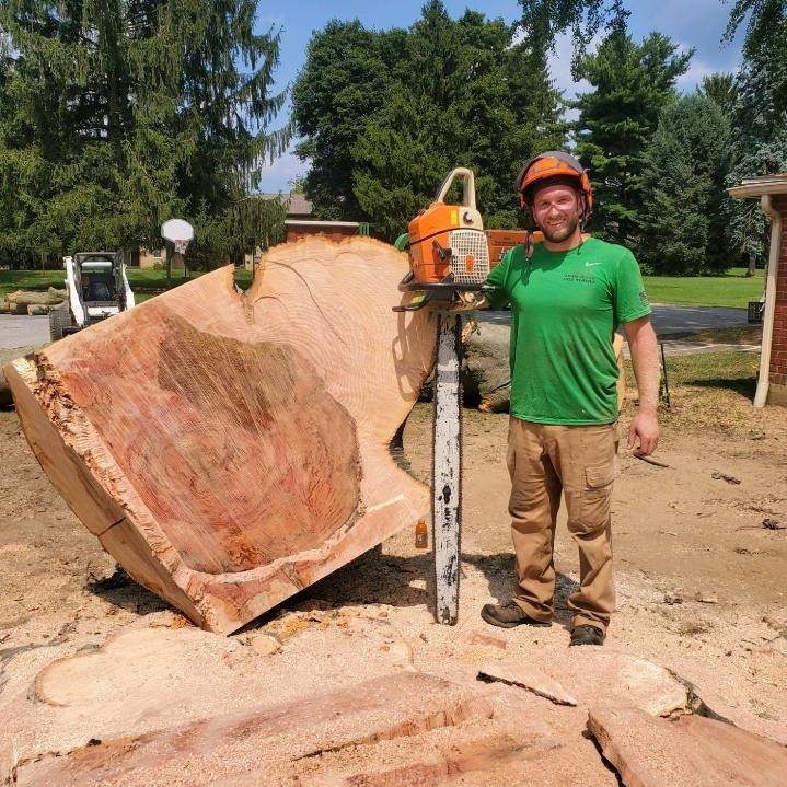 Lewis Burns tree removal service - Ryan