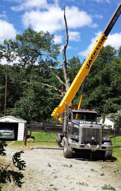 Lewis Burns tree removal service - crane